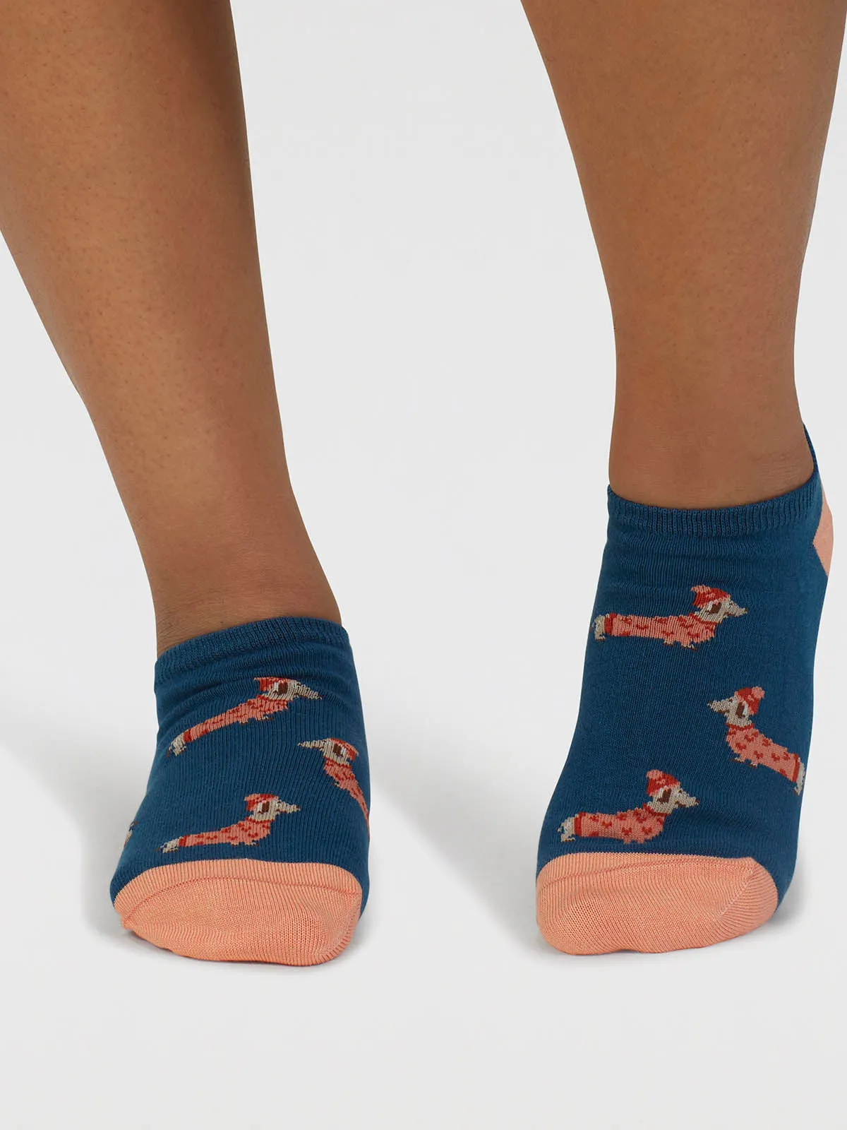 Freda Dachshund Organic Cotton Trainer Socks - Lake Blue